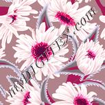 Colour:J