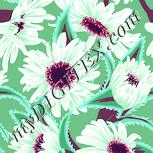 Colour:K