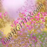 Colour:B