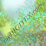 Colour:C