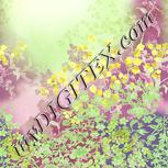 Colour:K
