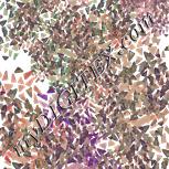 Colour:A