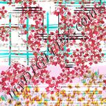 Colour:B