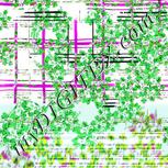 Colour:C