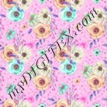 Colour:B
