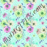 Colour:C