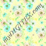 Colour:K