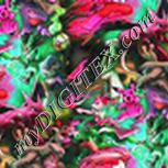 Colour:B