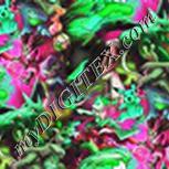 Colour:C