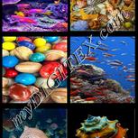 Colour:A