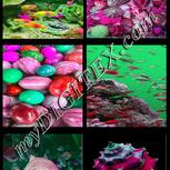 Colour:B