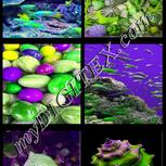 Colour:D