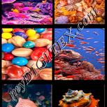 Colour:J