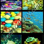 Colour:K