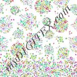 Colour:C