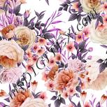 Colour:B