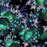 Colour:F