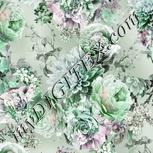 Colour:C