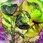 Colour:C