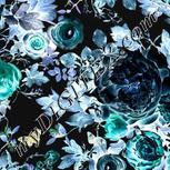 Colour:F