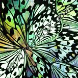Colour:K
