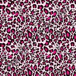 Colour:B
