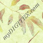 Colour:K