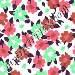 Colour:B
