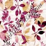 Colour:A