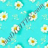 Colour:K