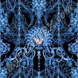 Colour:F