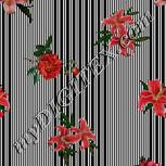 Colour:A