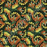 Colour:K
