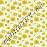 Colour:K