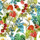 Colour:A