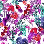 Colour:B