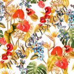 Colour:J