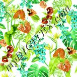 Colour:K
