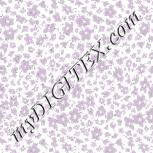 Colour:B