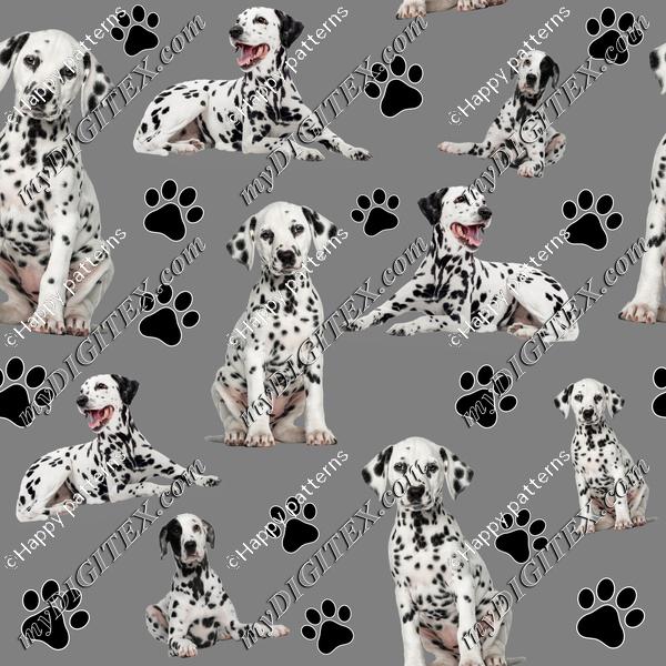 Dalmatian Dogs Black and white