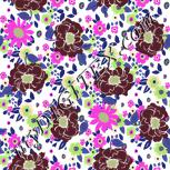 Colour:B