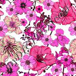Colour:B