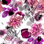 Colour:B
