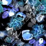 Colour:F