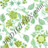Colour:K