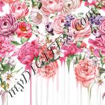 Colour:A