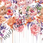 Colour:B