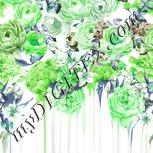 Colour:C