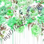 Colour:D