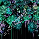Colour:F